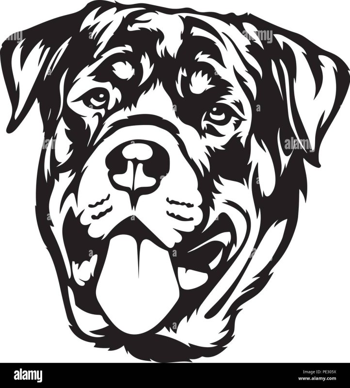 Ротвейлер для выжигания