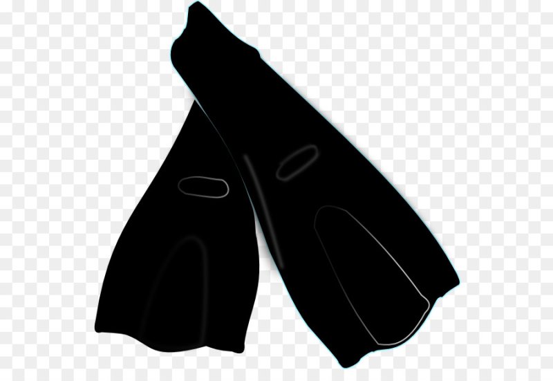 Силуэт ласты