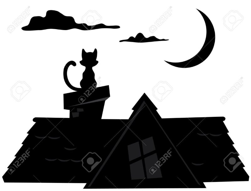 Кот на крыше силуэт