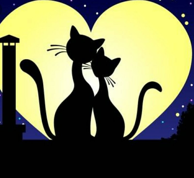 Силуэт кошки