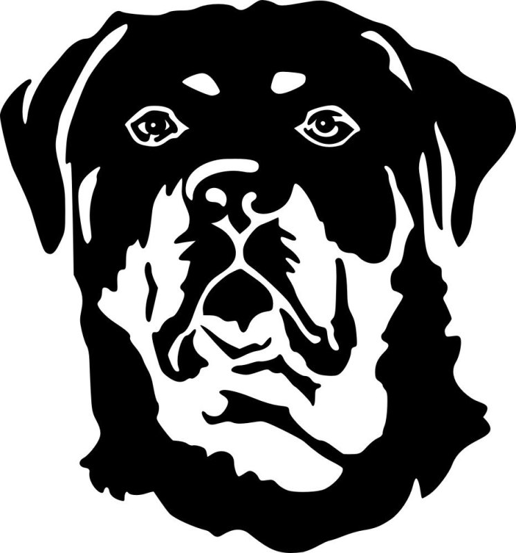 Ротвейлер вектор