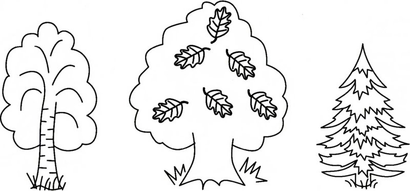 Лиственные деревья задания для дошкольников