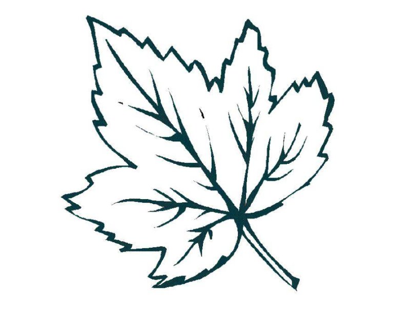 Осенние листья трафарет