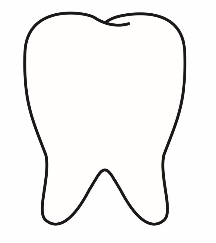 Контуры зубов