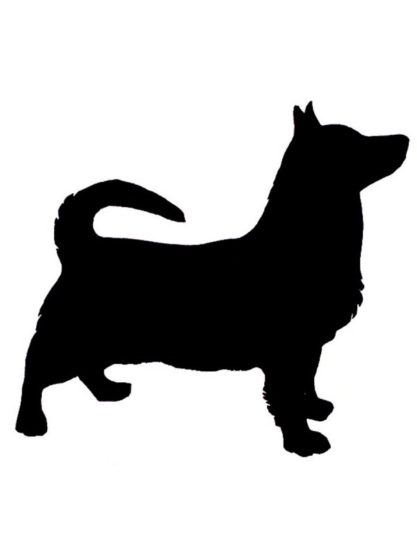 Корги чб силуэт