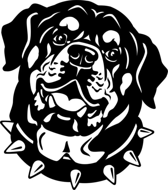 Наклейка собака черно-белая