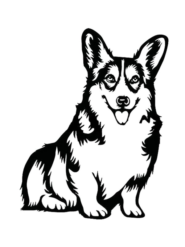 Вельш-корги пемброк