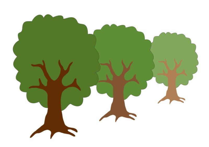 Дерево иллюстрация