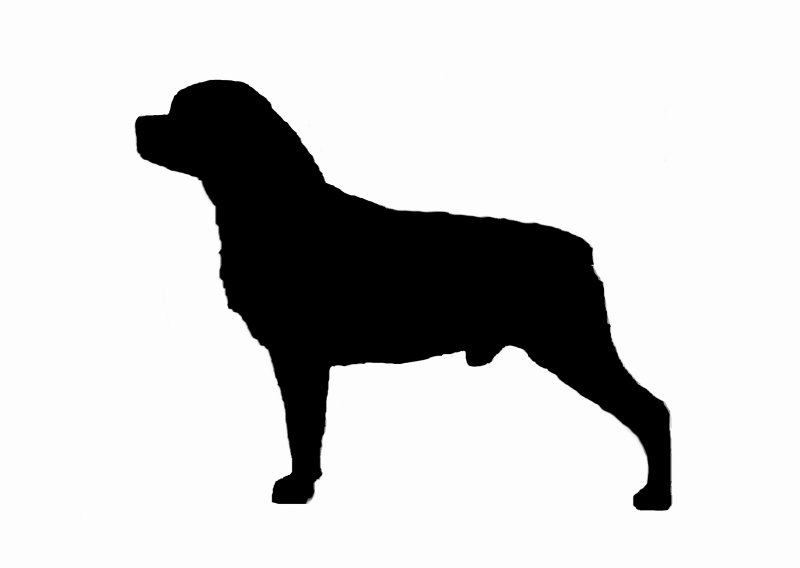 Ротвейлер вектор