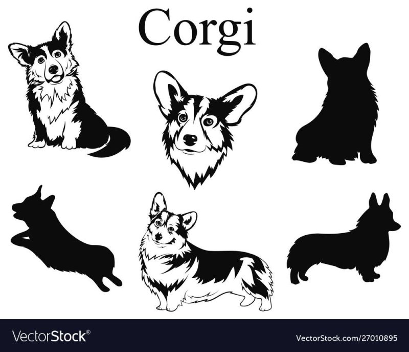 Силуэт корги пемброк