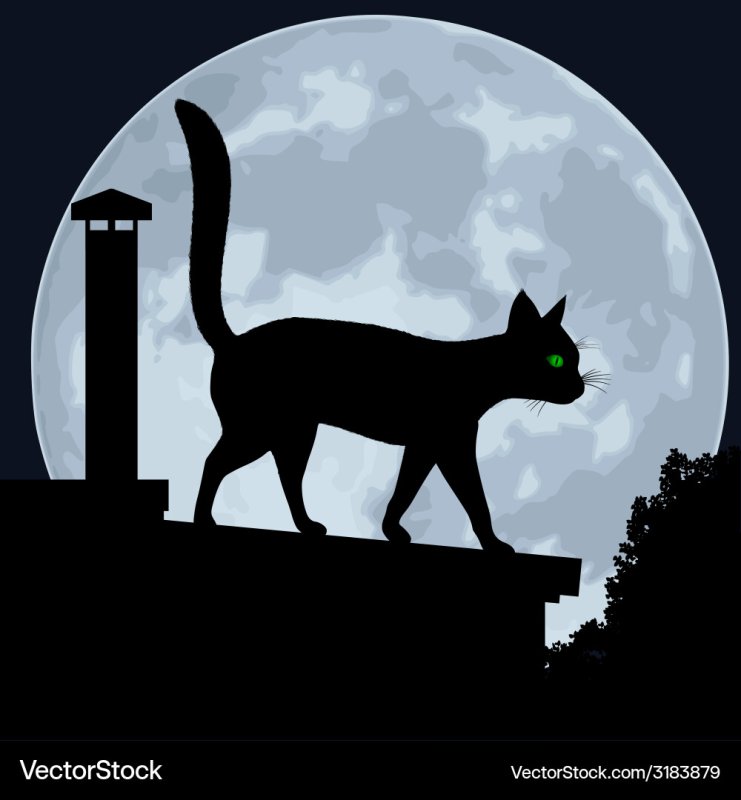 Кошки на крыше