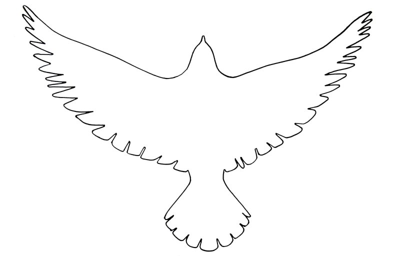 Голубь контур для вырезания