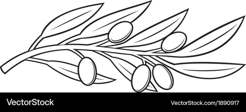 Веточка раскраска