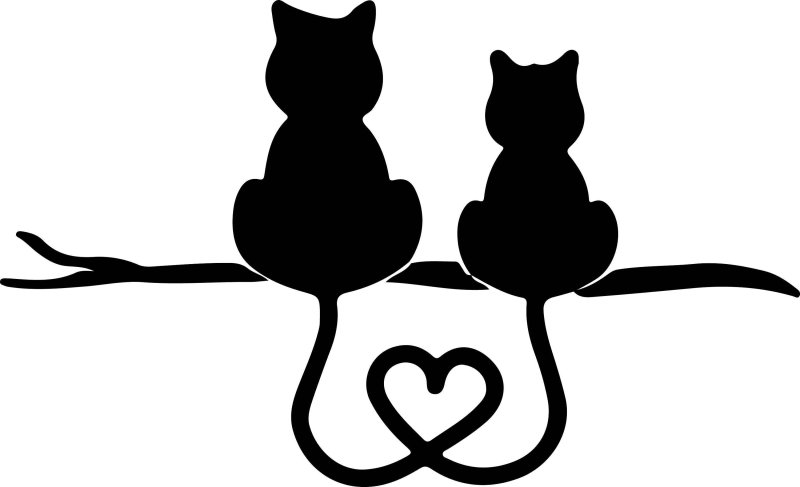 Трафарет кошки