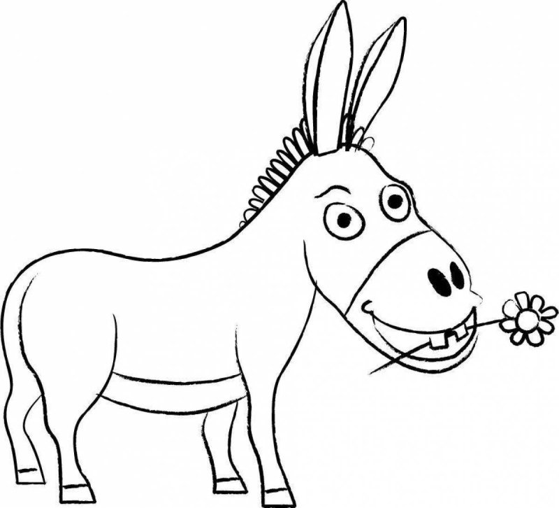 Ослик раскраска для детей