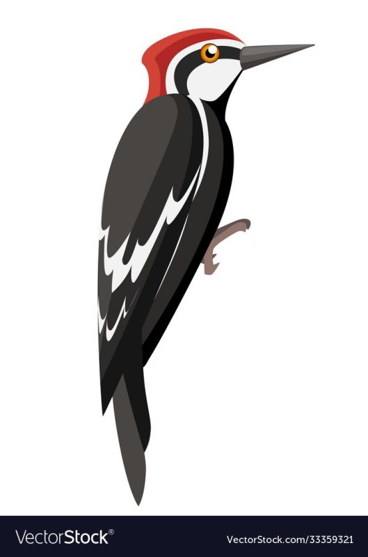 Маска дятла на голову