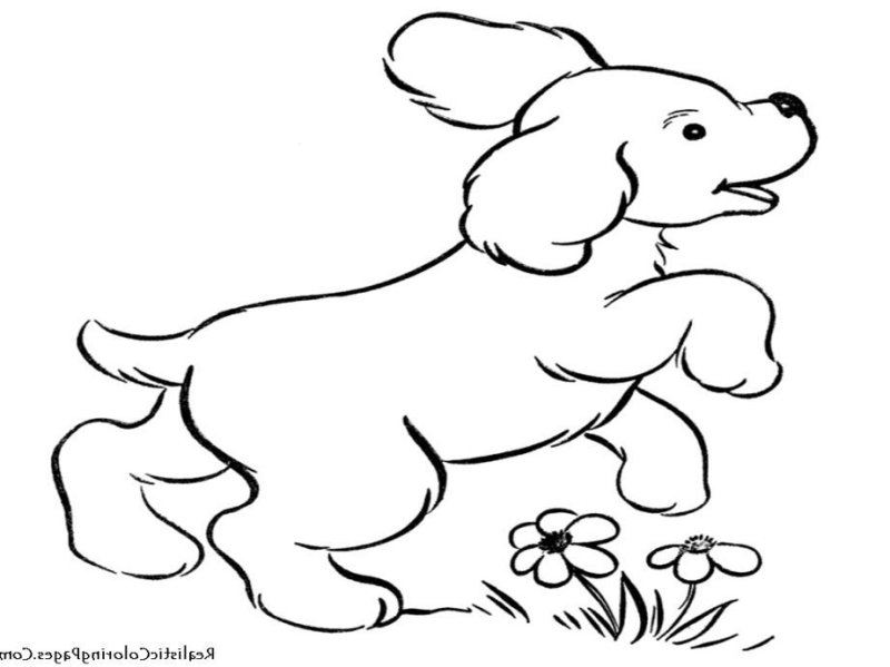 Собачка раскраска для детей