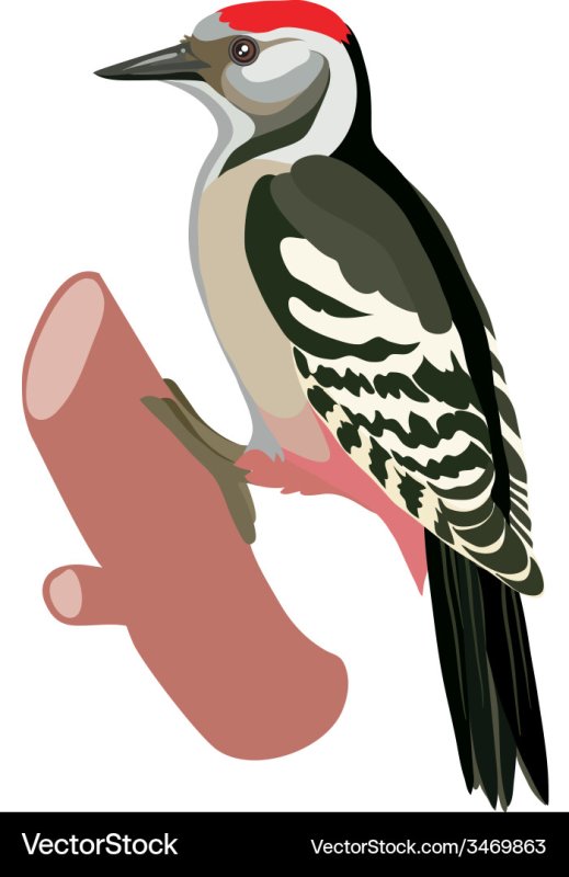 Маска дятла