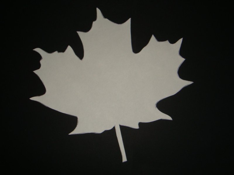 Трафареты "листья"