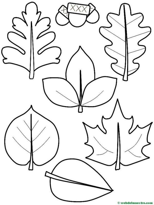 Листочки шаблоны для вырезания