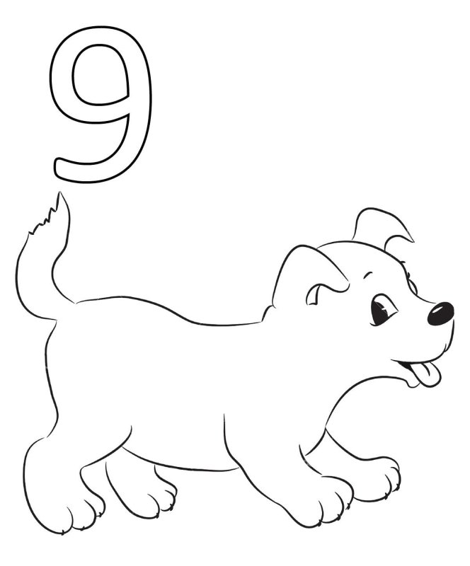 Собака раскраска для детей
