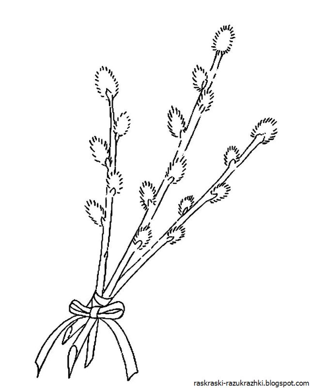 Верба на Вербное воскресенье