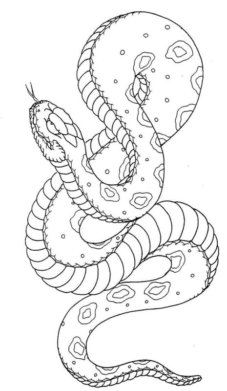 Раскраска антистресс змея