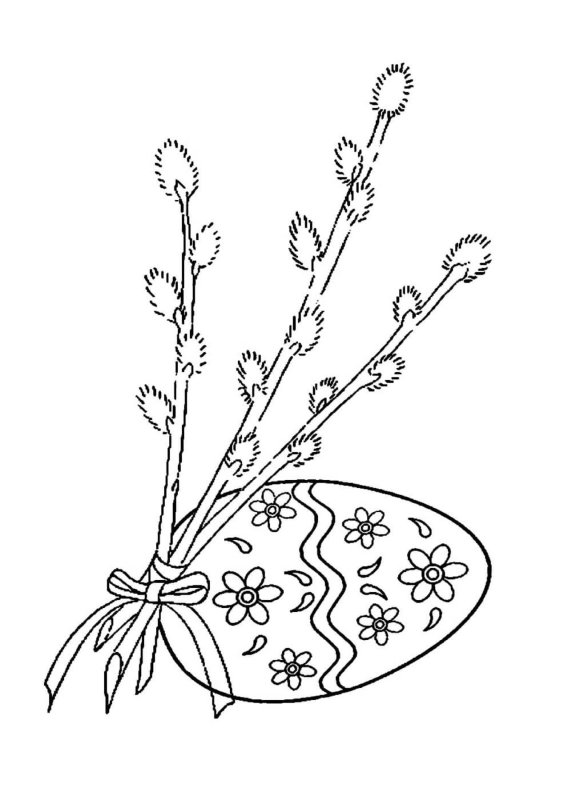 Веточка вербы раскраска для детей