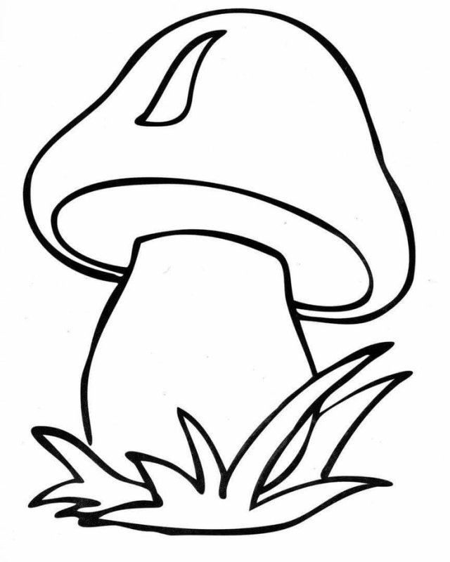 Гриб Боровик раскраска