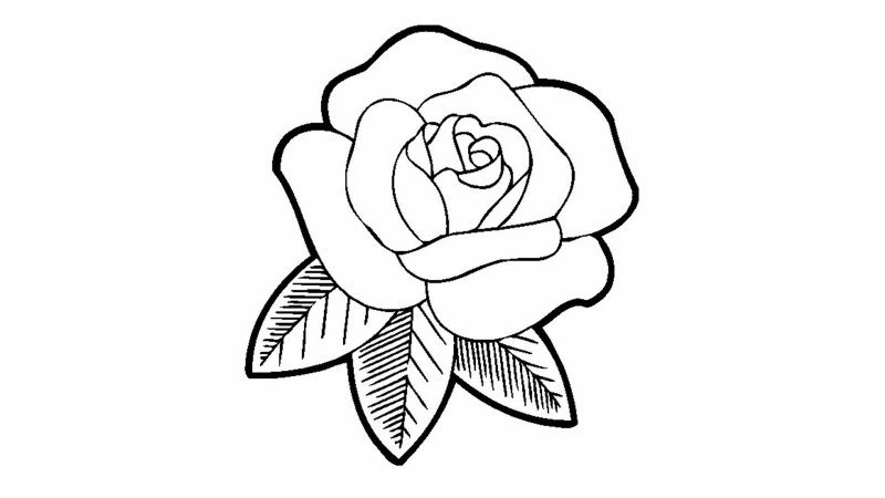 Роза для раскрашивания