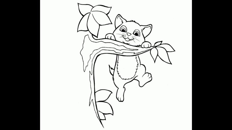 Рисунок котенка для раскрашивания