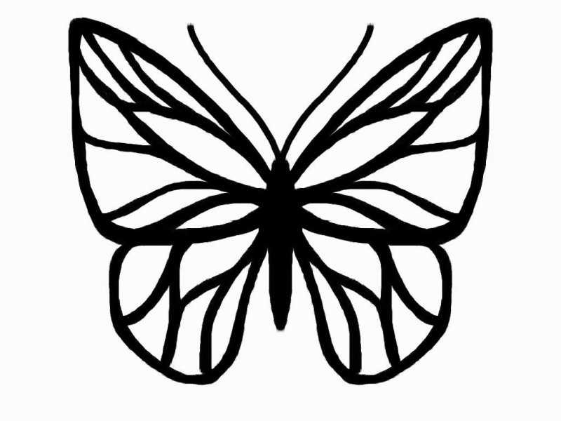 Трафарет бабочки для вырезания