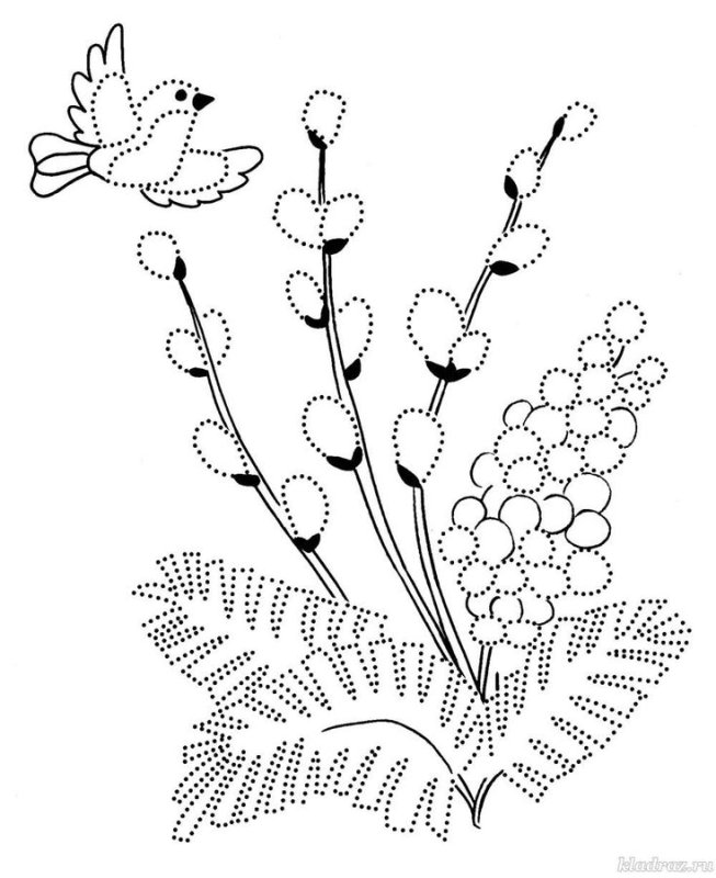 Мимоза раскраска для детей