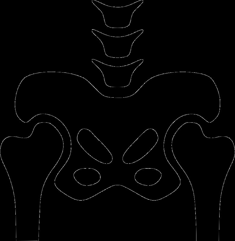 Кости скелета для костюма Кощея