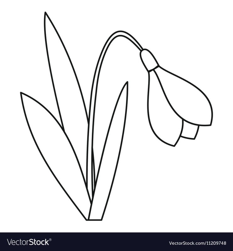 Подснежники раскраска для детей