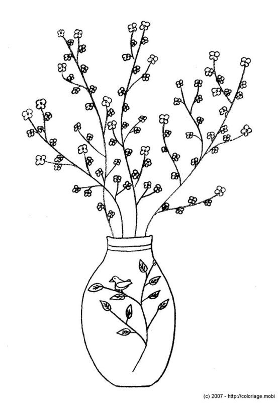 Верба рисунок карандашом