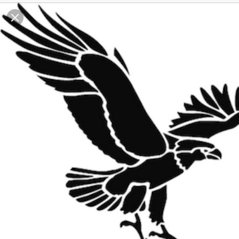 Трафарет Беркут