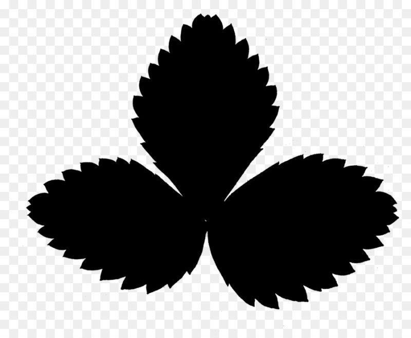 Земляника листья