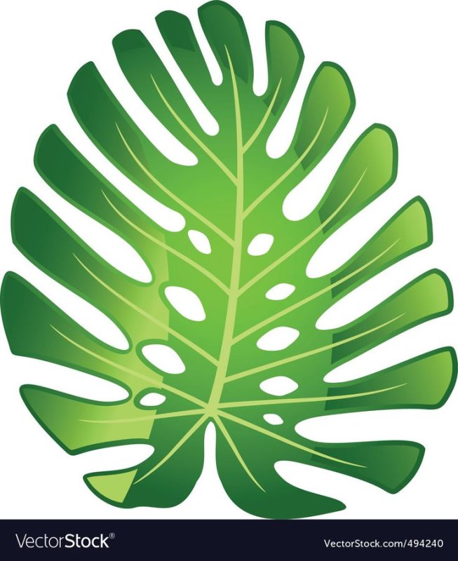 Лист пальмы трафарет