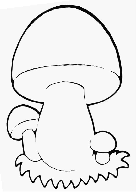 Раскраски грибов для детей