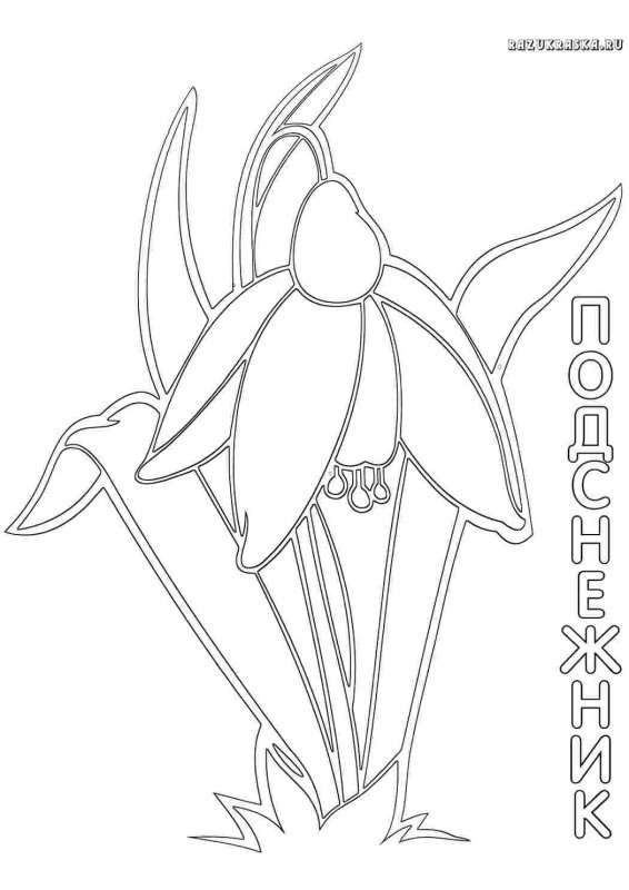 Трафарет подснежника