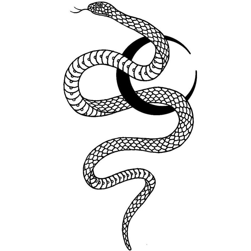 Эскизы татуировок змеи