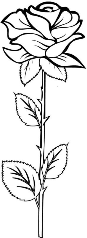 Цветы трафарет для рисования