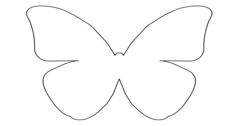 Шаблон бабочки