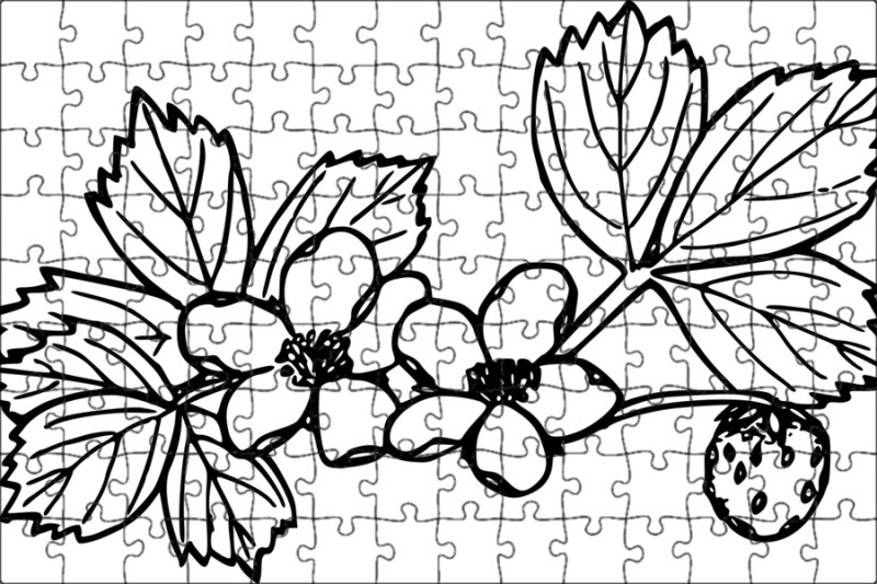 Раскраска "ягоды"