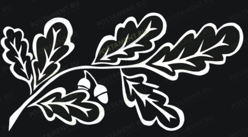 Дубовая ветвь для гравировки