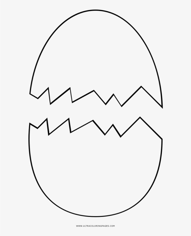 Скорлупа раскраска