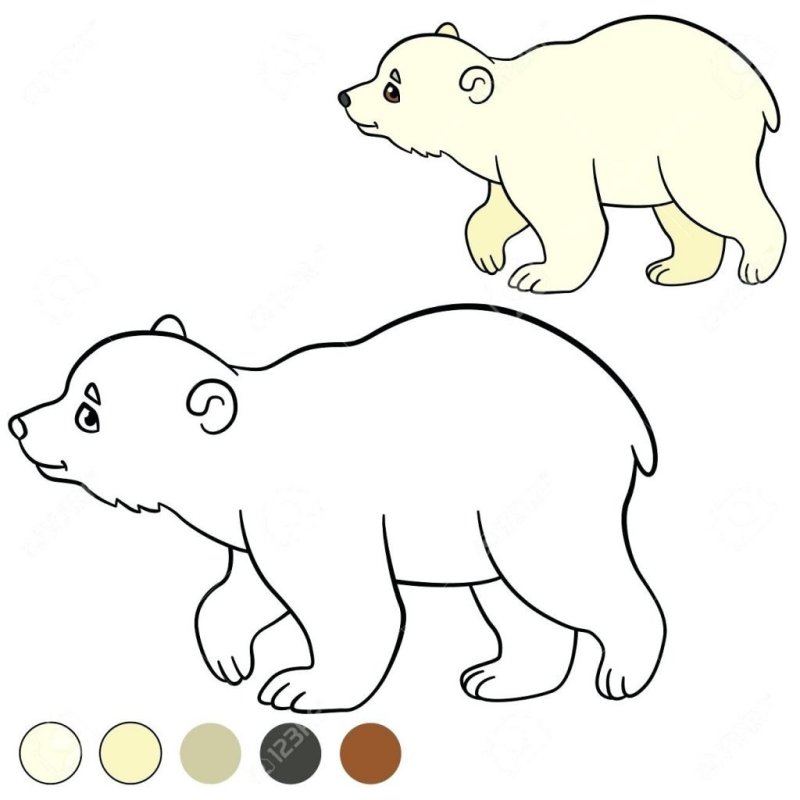 Белый медведь раскраска для детей
