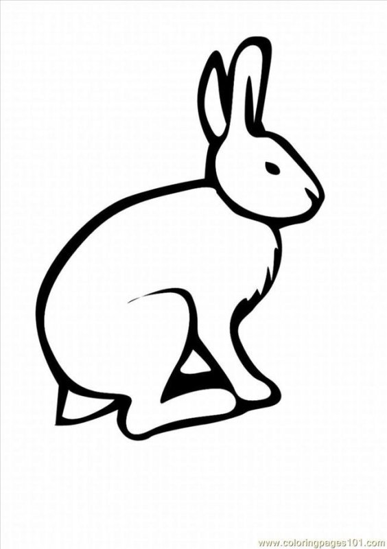 Заяц раскраска