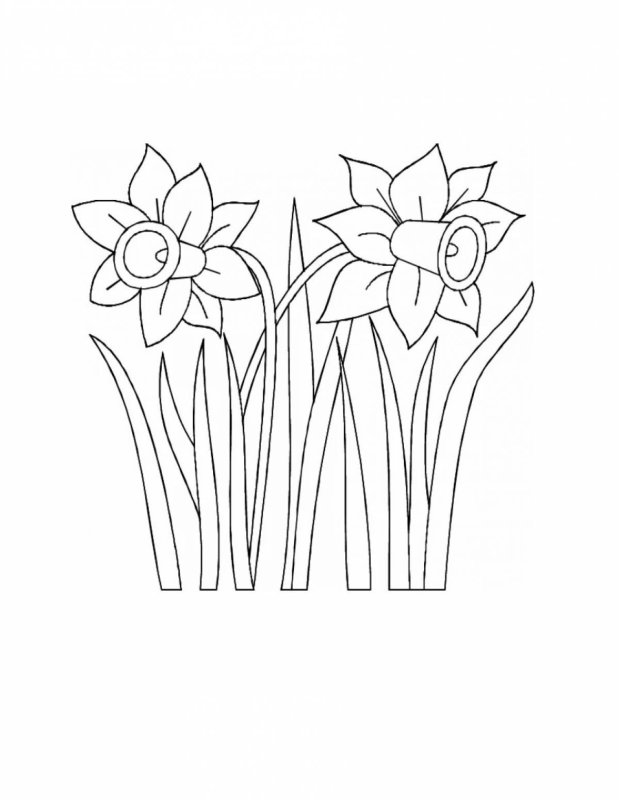 Цветы раскраска для детей